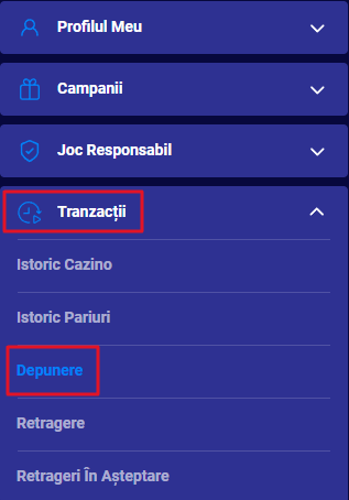 Tranzactii Depunere.png