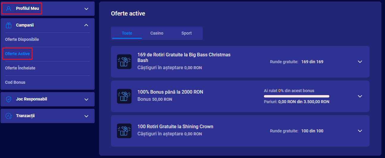 Oferte active.png